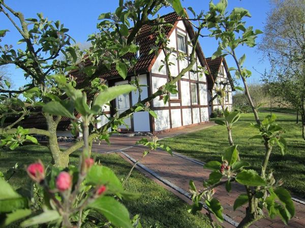 Fachwerkhaus zwischen Apfelblüten