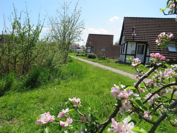 Weg zwischen den Ferienhäusern im Frühling
