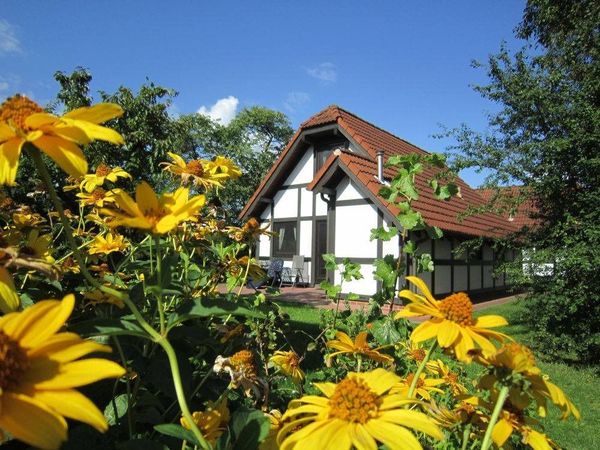 Ferienhaus hinter gelben Sommerblumen