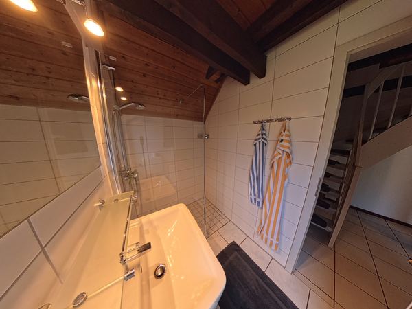 Duschbad mit Dusche
